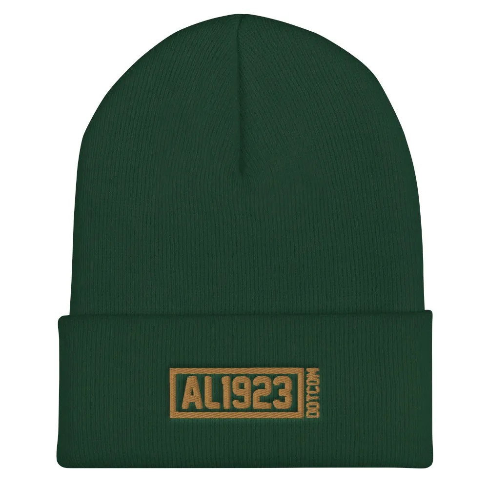 AL1923 DotCom Cuffed Beanie