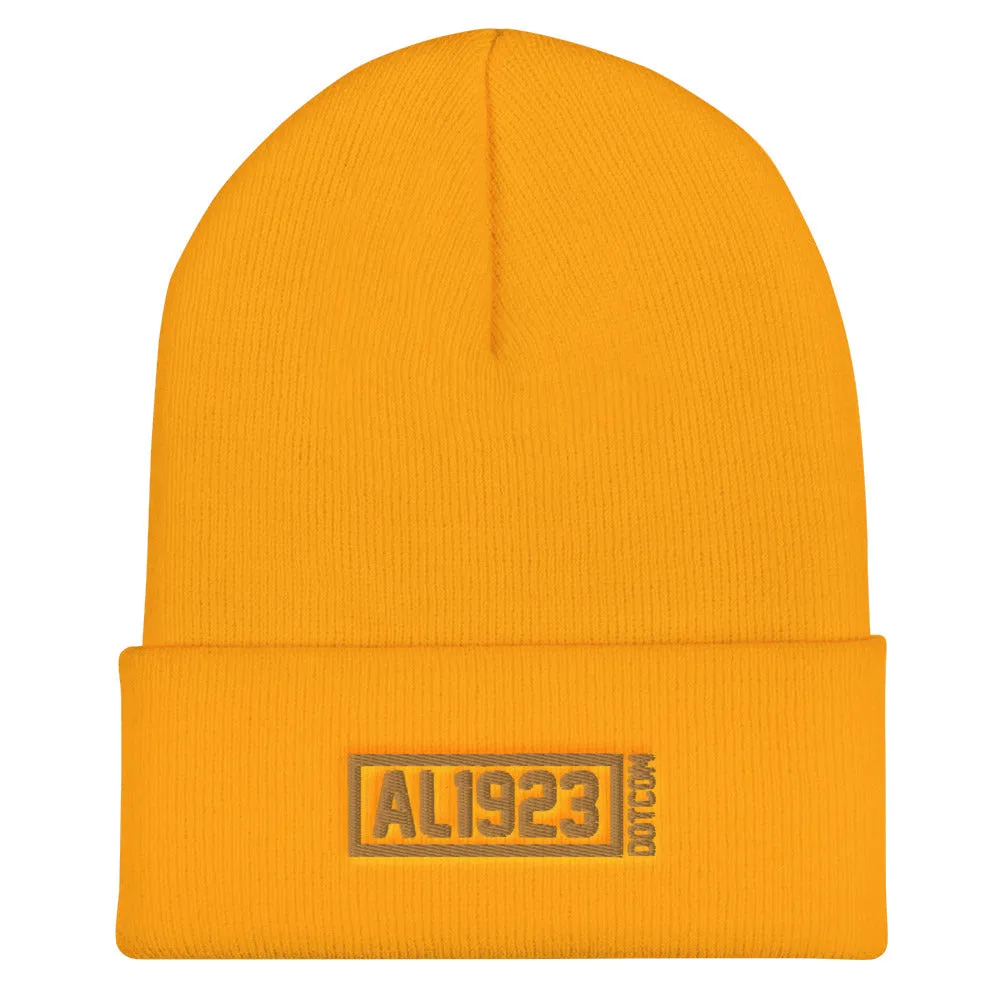 AL1923 DotCom Cuffed Beanie