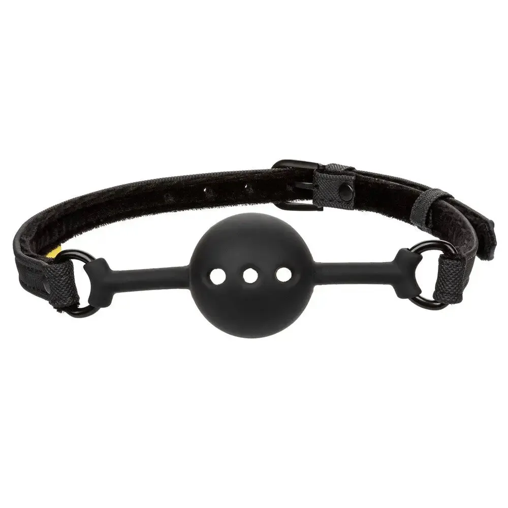 Colt Silicone Black Breathable Bondage Ball Gag with Buckle