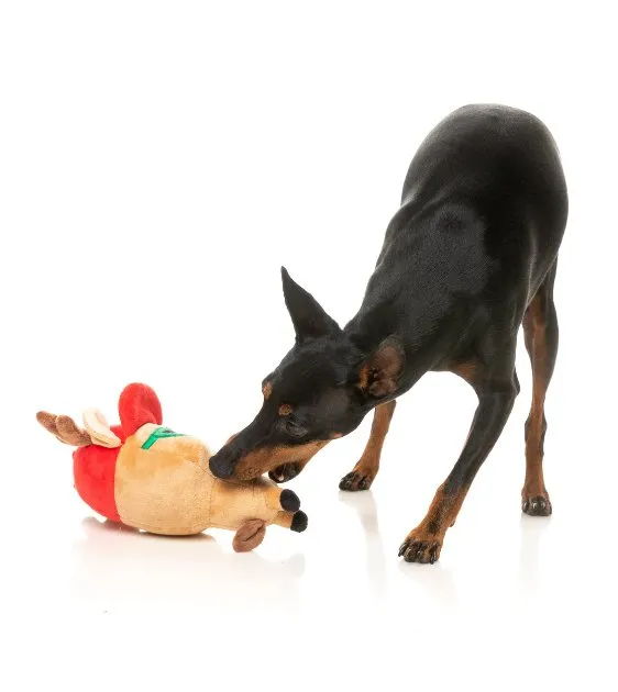 FuzzYard Christmas Dog Toy (R Diddy)