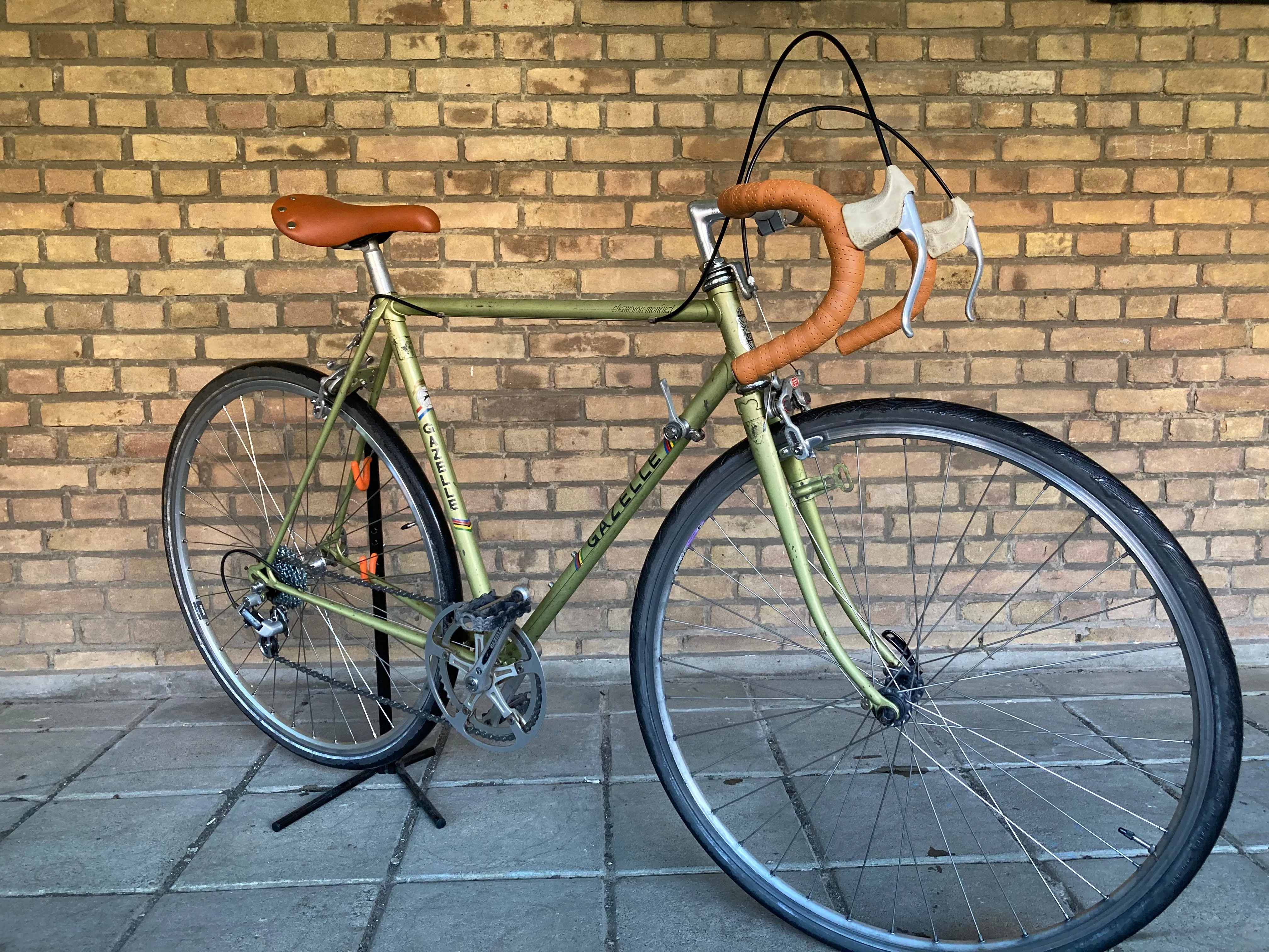 Gazelle Champion Mondial 55cm