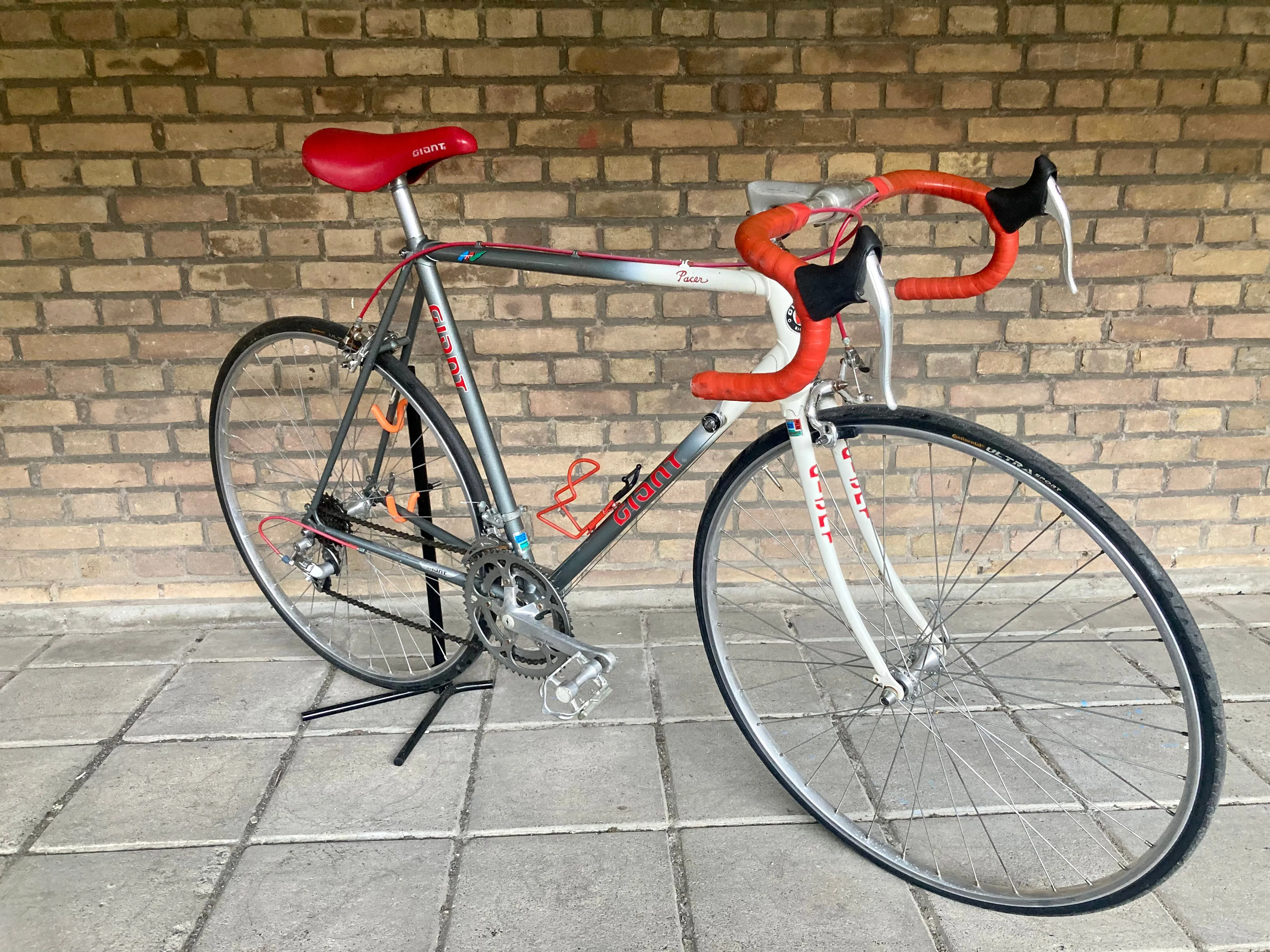 Giant Pacer 56cm