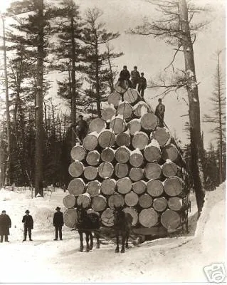 Swiss Army Hauling Sled